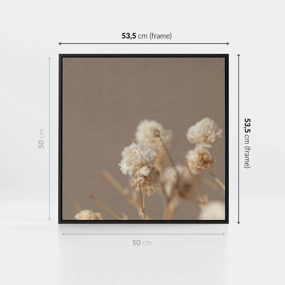 Obraz w ramie 50x50 - Przezroczyste piękno - gipsówka, suche - rama czarna