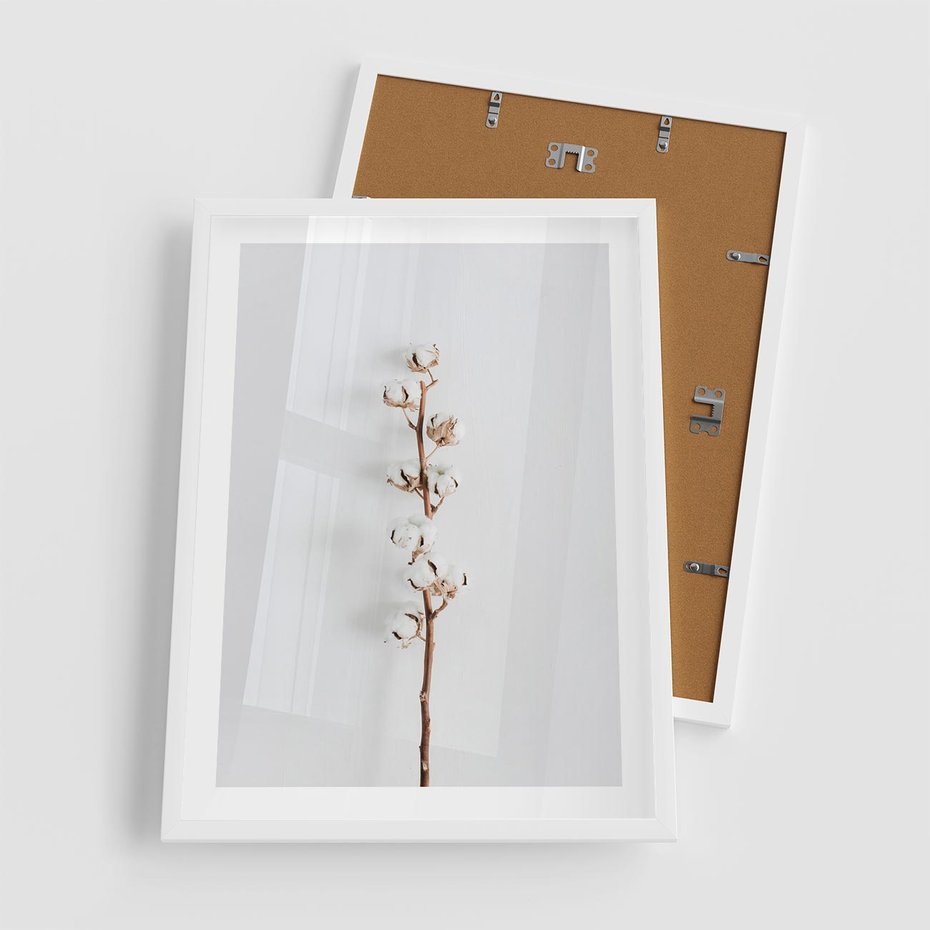 Plakat w ramie 50x70 - Minimalistyczna Gałązka Bawełny - bawełna, gałązka bawełny - rama biała
