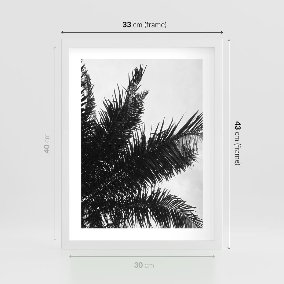 Plakat w ramie 30x40 - Czas Zapomnienia - palmy, czarno biała fotografia - rama biała