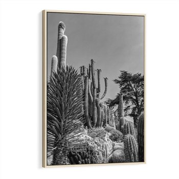 Obraz w ramie 70x100 - Pustynny Klimat - czarno białe zdjecie, pustynia - rama drewno