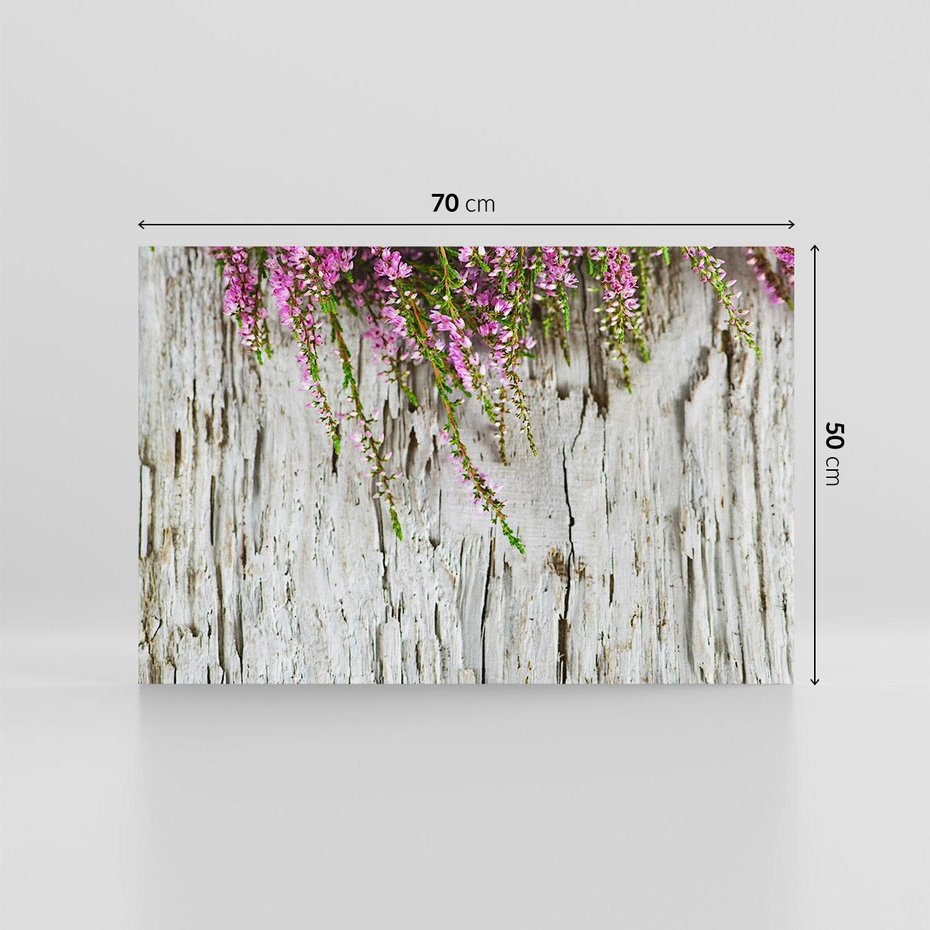 Obraz na płótnie 70x50 - Fioletowe Wrzosy - wrzosy, fiolet