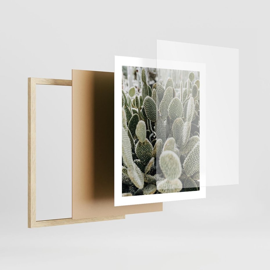 Plakat w ramie 40x50 - Kaktusowa Harmonia - kaktusy, fotografia - rama drewno