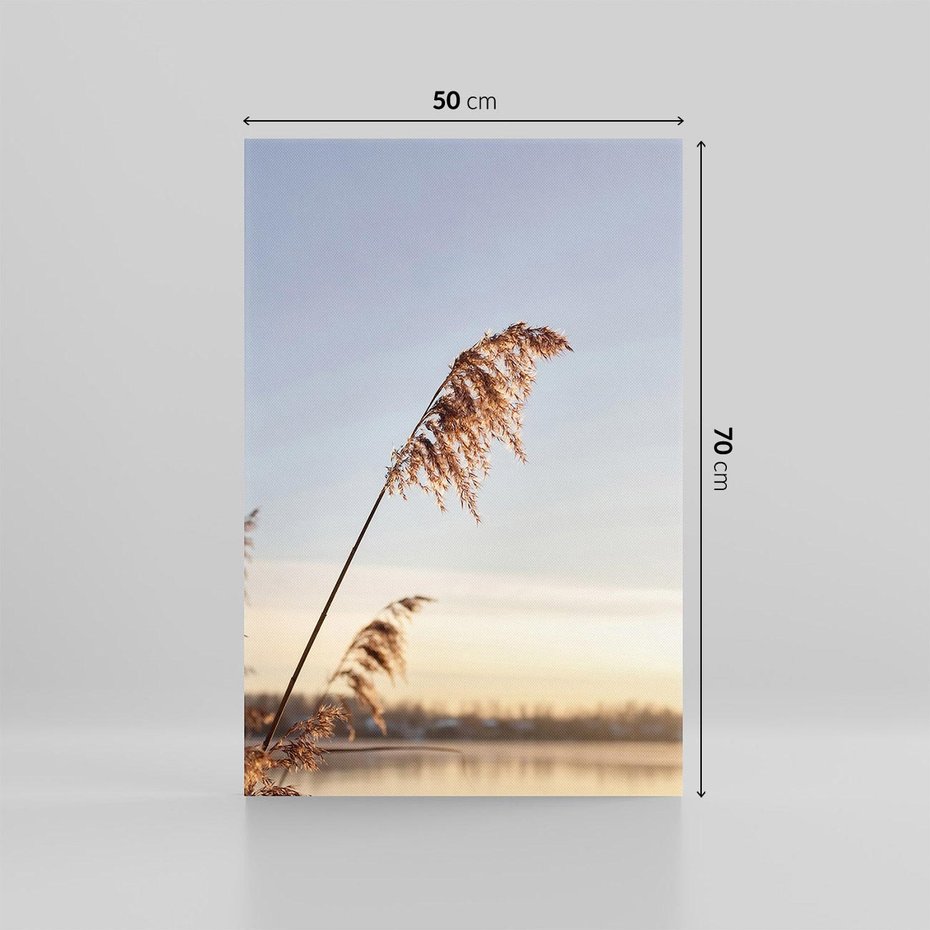 Obraz na płótnie 50x70 - Naturalna Delikatność - trawy, boho