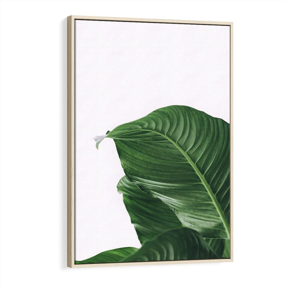 Obraz w ramie 80x120 - Zielone liście monstery - liście, monstera - rama drewno
