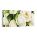 Obraz na płótnie 120x60 - Białe tulipany w pełnym rozkwicie - białe, tulipany