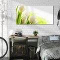 Obraz na płótnie 120x60 - delikatność kwiatów - tulipany, kwiat