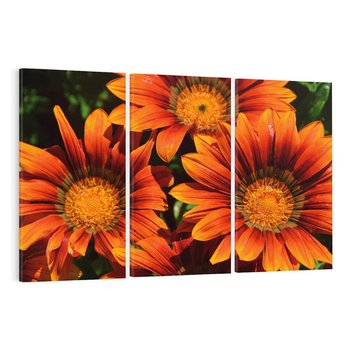 Obraz na płótnie 120x80 - Kwiatowa Esencja - kwiat, kwiaty