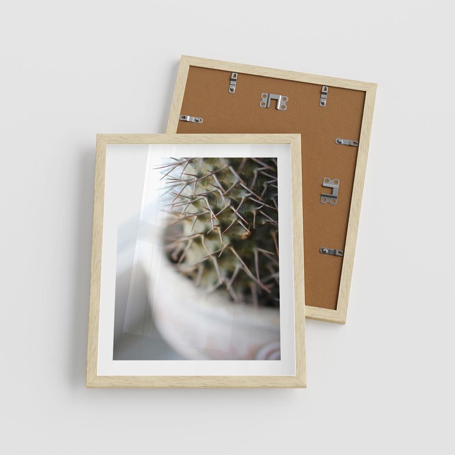 Plakat w ramie 40x50 - Kaktus w Zbliżeniu - kaktus, igły - rama drewno