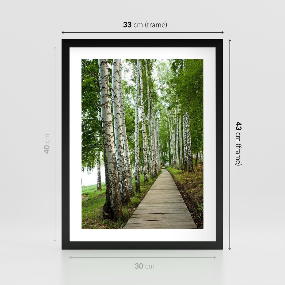 Plakat w ramie 30x40 - Spacer ścieżką przez brzozowy las - las, ścieżka - rama czarna