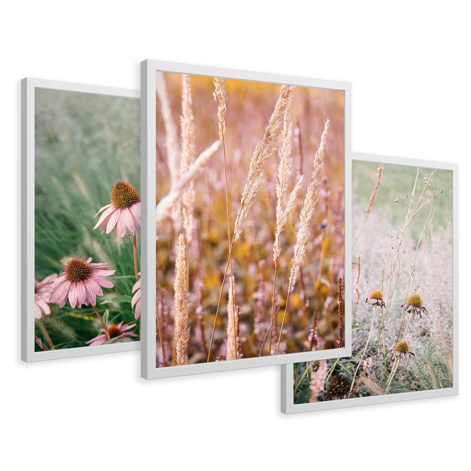 Zestaw obrazy w ramie 50x70 galeria - Kwiaty, łąka, suche, trawy - rama biała
