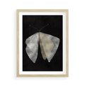Plakat w ramie 50x70 - Obce Powidoki - abstrakcyjna ćma, mroczna atmosfera - rama drewno