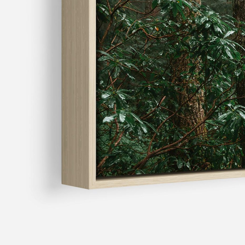 Obraz w ramie 70x50 - Mgliste Marzenia - artystyczna fotografia, las - rama drewno