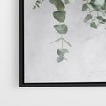 Obraz w ramie 50x70 - Uwodzicielska zieleń eukaliptusa - eukaliptus, zielone - rama czarna
