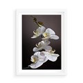 Plakat w ramie 50x70 - SPA: harmonia z kwiatami - spa, kwiaty - rama biała