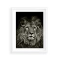 Plakat w ramie 40x50 - Moc lewego spojrzenia - lew, czarno - rama biała
