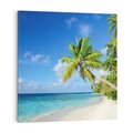 Obraz na płótnie 40x40 - Rajskie Malediwy: Plaża pod palmami - Malediwy, plaża