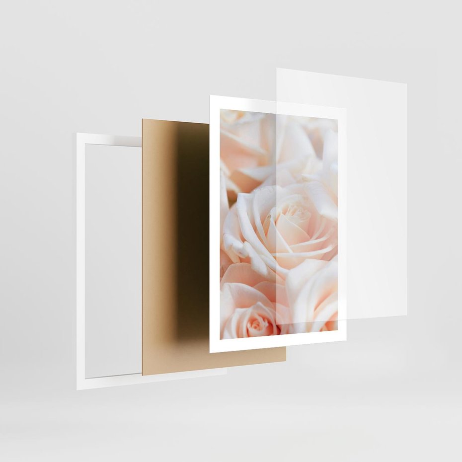 Plakat w ramie 50x70 - Aromatyczna Piękność - płatki herbacianej róży, kwiaty - rama biała
