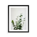 Plakat w ramie 30x40 - Żywa eukaliptusowa zieleń - eukaliptus, zielone - rama czarna