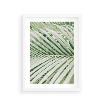 Plakat w ramie 40x50 - Liście Palmy: Egzotyczna Grafika - palma, liście palmy - rama biała