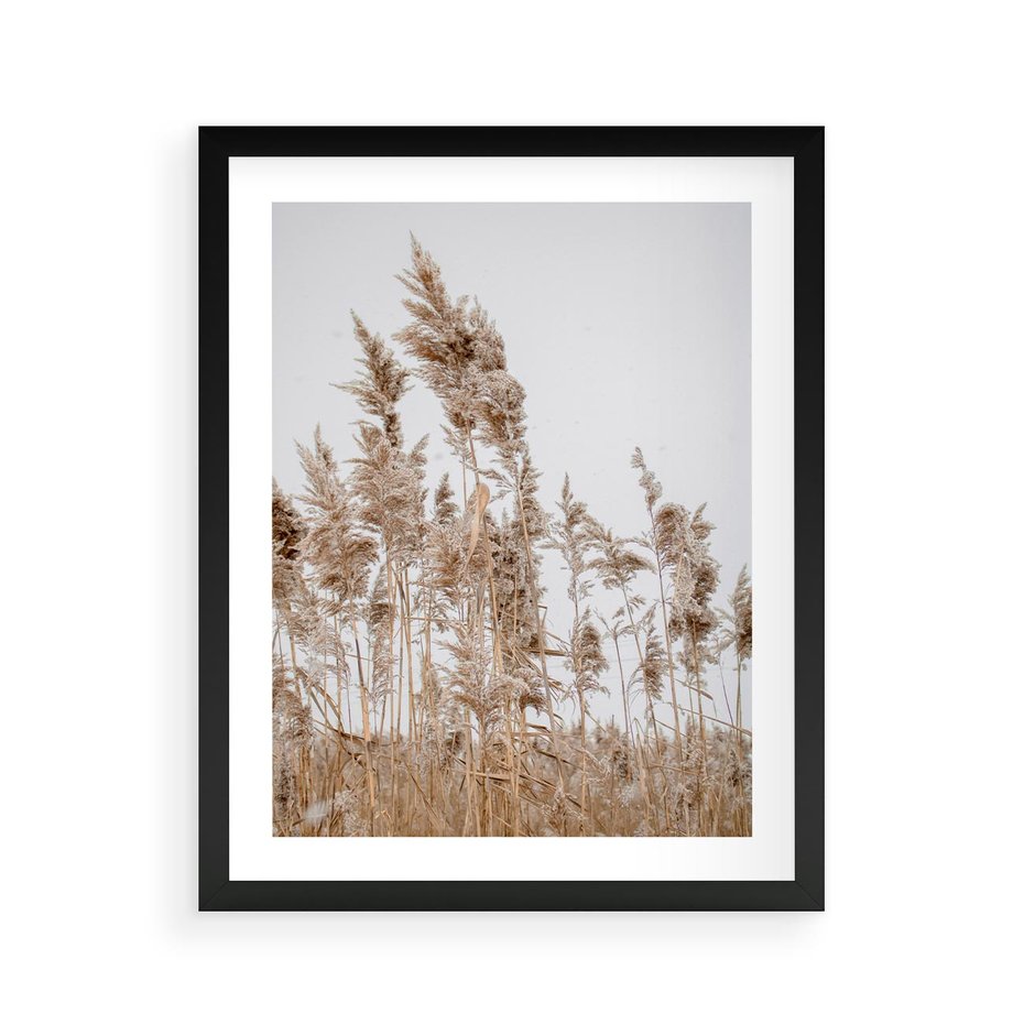 Plakat w ramie 40x50 - Boho Urok - trawy, pampas - rama czarna