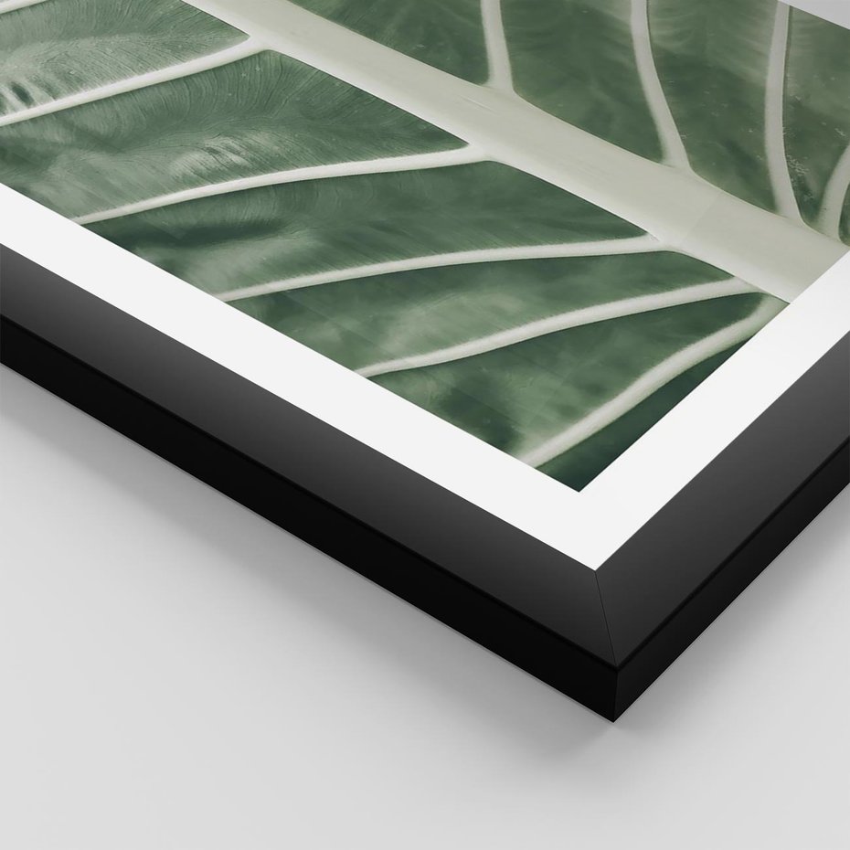 Plakat w ramie 30x40 - Zielone Wielkości: Zbliżenie Liścia - zbliżenie duz liść, jasna zieleń - rama czarna