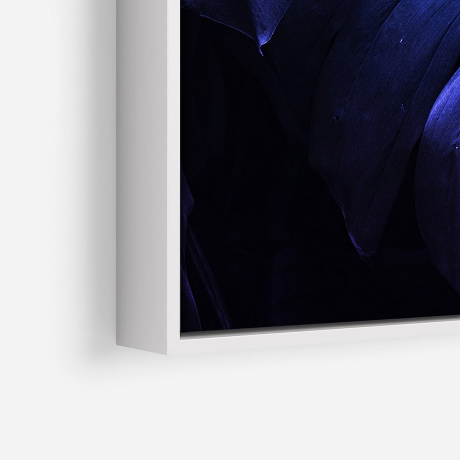 Obraz w ramie 50x70 - Mroczna Magia Dżungli - mroczna grafika, fioletowe liście monstery na czarnym tle - rama biała