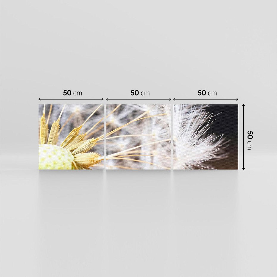 Obraz na płótnie 150x50 - Dmuchawiec: lekkość natury - dmuchawiec, natura