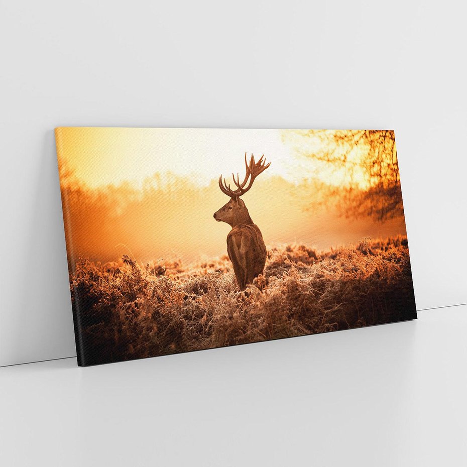 Obraz na płótnie 100x50 - Magia jesiennego słońca: Jeleń w promieniach - jeleń, jesień