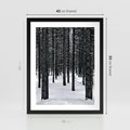 Plakat w ramie 40x50 - Zimowe Drzewa: Śnieg na Pniach - drzew w zimi, pnie drzew - rama czarna