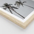 Plakat w ramie 40x50 - Tropikalny Raj: Palmy i Niebo - palmy, niebo - rama drewno