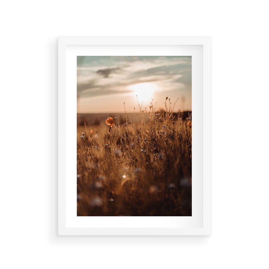 Plakat w ramie 30x40 - Zachwyt zachodem słońca na łące - zachód, słońca - rama biała