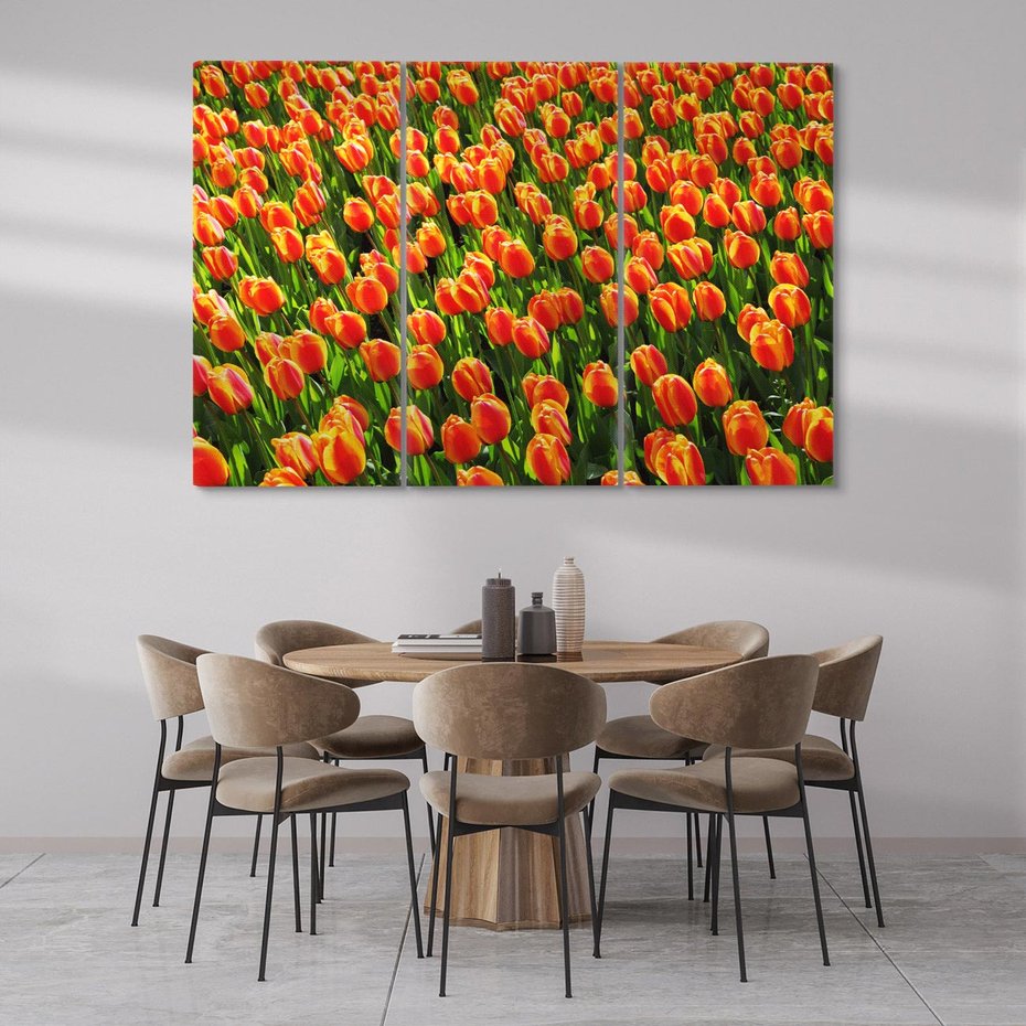 Obraz na płótnie 120x80 - Tulipanowa eksplozja - tulipany, kwiaty