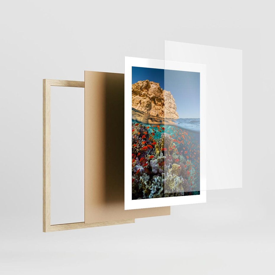 Plakat w ramie 30x40 - Rafa koralowa w oceanie - rafa, koralowa - rama drewno