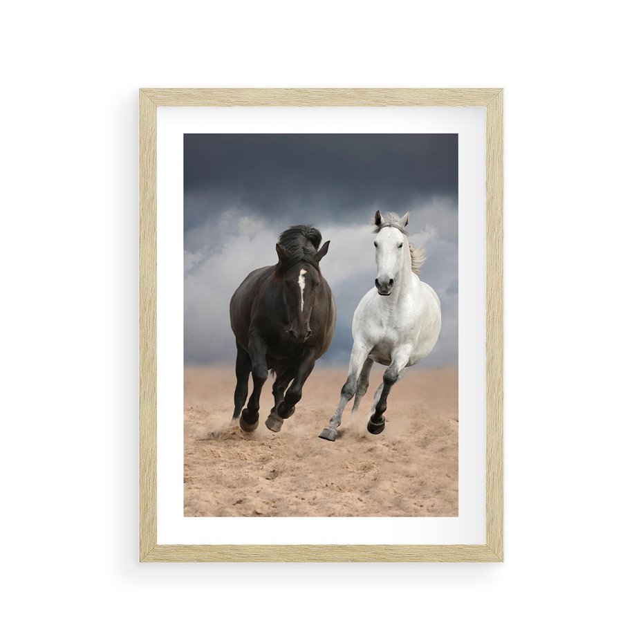 Plakat w ramie 30x40 - Siła koni w galopie - konie, galop - rama drewno