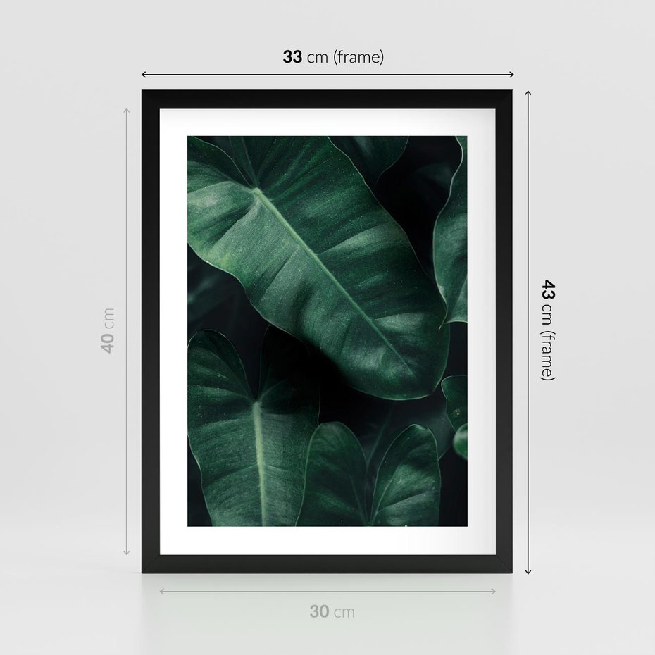 Plakat w ramie 30x40 - Liście Bananowca - minimalizm, zielone liście bananowca - rama czarna