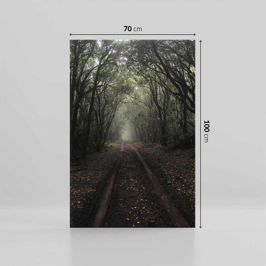 Obraz na płótnie 70x100 - Urok Drogi - las, droga