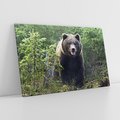 Obraz na płótnie 120x80 - Spotkanie z Niedźwiedziem w Lesie - niedźwiedź, las