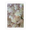 Plakat bez ramy 21x30 - Kwiatowy taniec - kwiaty, hortensje