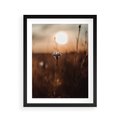 Plakat w ramie 40x50 - Spokój łąki pod zachodem słońca - zachód, słońca - rama czarna