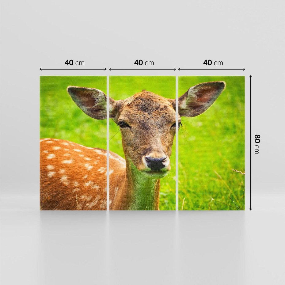 Obraz na płótnie 120x80 - Sarna na łące - sarna, zwierzę