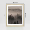 Plakat w ramie 40x50 - Mglista Opowieść Lasu - las, mgła - rama drewno