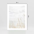 Plakat bez ramy 30x40 - Jasna Delikatność: Fotografia Suchych Traw - suche trawy, jasna fotografia