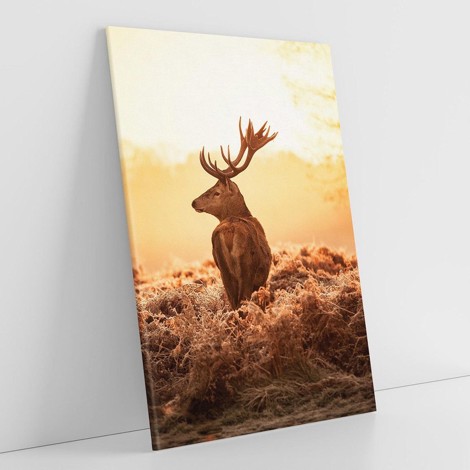 Obraz na płótnie 50x70 - Magia jesiennego słońca: Jeleń w promieniach - jeleń, jesień