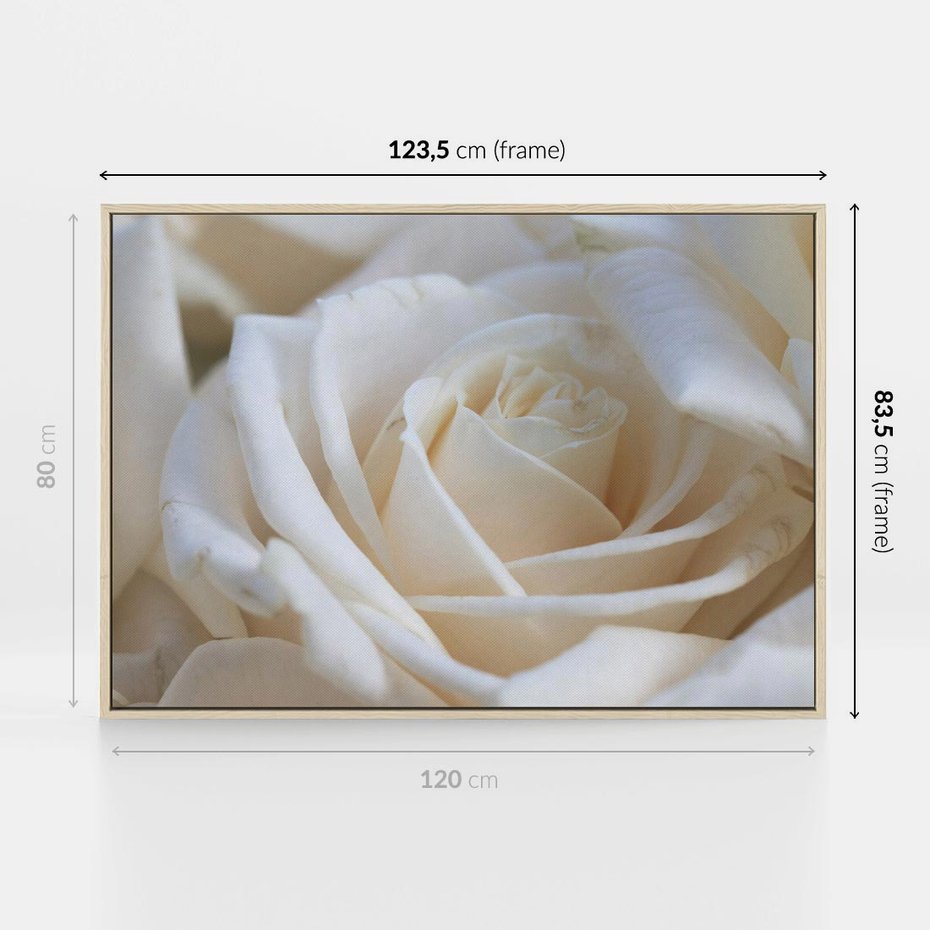 Obraz w ramie 120x80 - Białe róże piękności - białe, róże - rama drewno