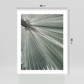 Plakat bez ramy 40x50 - Jasnozielony Świat - palma, liść