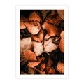 Plakat bez ramy 21x30 - Jesienna Paleta - liście, jesień