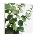 Obraz na płótnie 40x40 - Zielone eukaliptusy - eukaliptus, liście
