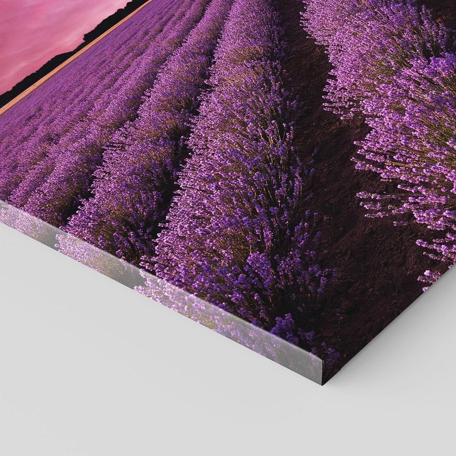 Obraz na płótnie 70x50 - Pola lawendy w pełnym rozkwicie - Lawenda, krajobraz