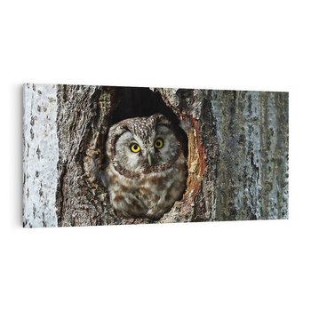 Obraz na płótnie 120x60 - Tajemniczy W świecie Nocy - sowa, dziupla