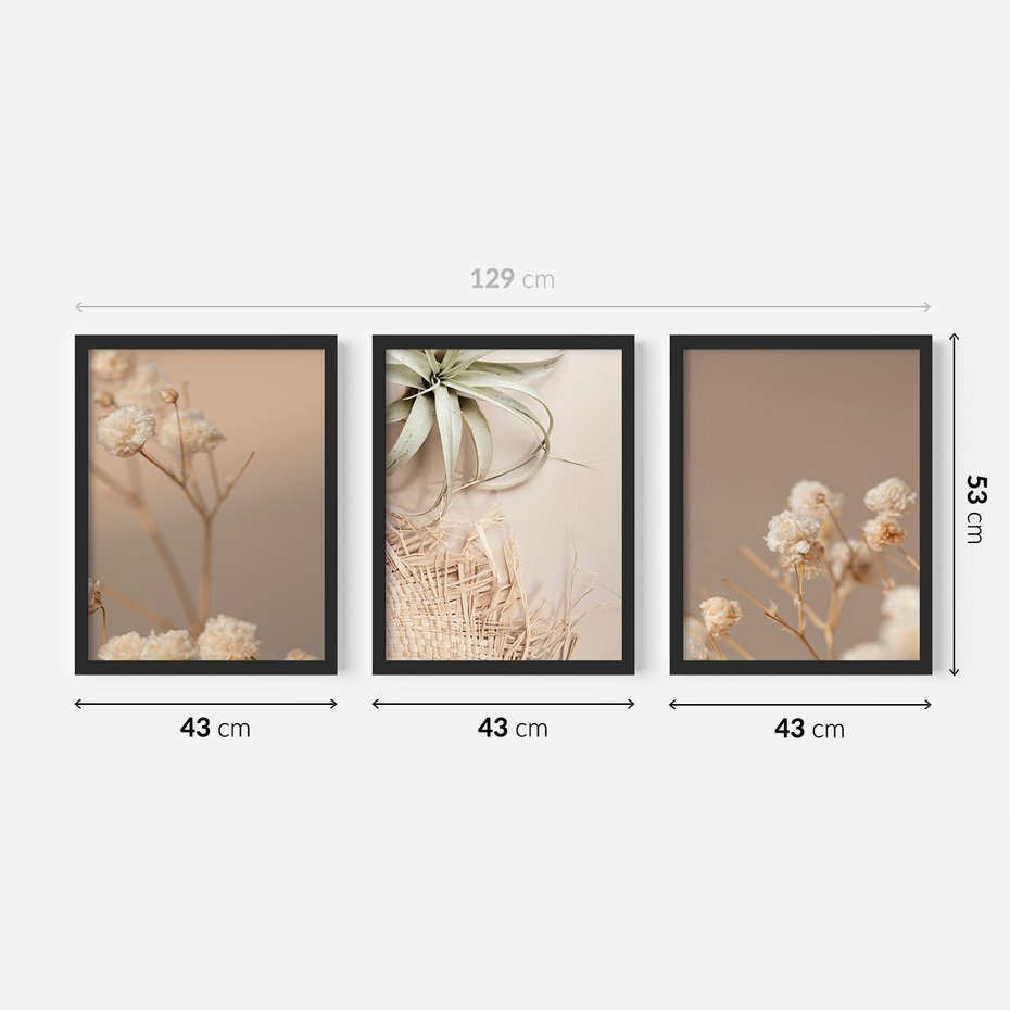 Zestaw obrazy w ramie 40x50 galeria - Suszone, kwiaty, boho - rama czarna